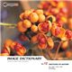 �ʐ^�f�� imageDJ Image Dictionary Vol.12 ���R