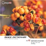 �ʐ^�f�� imageDJ Image Dictionary Vol.12 ���R