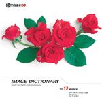 �ʐ^�f�� imageDJ Image Dictionary Vol.13 �K�N