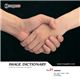 �ʐ^�f�� imageDJ Image Dictionary Vol.21 ��