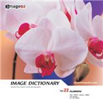 �ʐ^�f�� imageDJ Image Dictionary Vol.22 ��