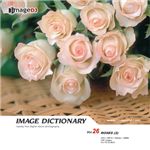 �ʐ^�f�� imageDJ Image Dictionary Vol.26 �K�N(2)