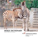 �ʐ^�f�� imageDJ Image Dictionary Vol.27 ����
