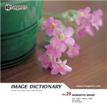 �ʐ^�f�� imageDJ Image Dictionary Vol.29 ���}���e�B�N