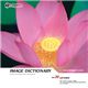 �ʐ^�f�� imageDJ Image Dictionary Vol.30 �@
