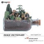 �ʐ^�f�� imageDJ Image Dictionary Vol.32 ���A