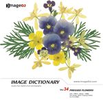 �ʐ^�f�� imageDJ Image Dictionary Vol.34 ����