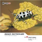 �ʐ^�f�� imageDJ Image Dictionary Vol.38 ����