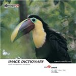 �ʐ^�f�� imageDJ Image Dictionary Vol.49 ��
