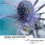 �ʐ^�f�� imageDJ Image Dictionary Vol.67 �Ԃ̐ڎ�