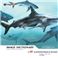 写真素材 imageDJ Image Dictionary Vol.90 海関連 (イラスト)