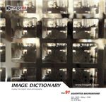 �ʐ^�f�� imageDJ Image Dictionary Vol.91 �w�i