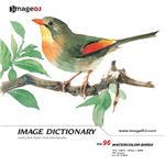 �ʐ^�f�� imageDJ Image Dictionary Vol.96 �� (���ʉ�)