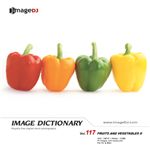 �ʐ^�f�� imageDJ Image Dictionary Vol.117 �ʕ��Ɩ��(2)