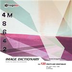 �ʐ^�f�� imageDJ Image Dictionary Vol.120 �����}��(2)