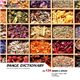 �ʐ^�f�� imageDJ Image Dictionary Vol.124 �n�[�u�ƃX�p�C�X