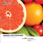 �ʐ^�f�� imageDJ Image Dictionary Vol.134 �ʕ�����