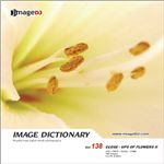 �ʐ^�f�� imageDJ Image Dictionary Vol.138 �Ԃ̐ڎ�(2)