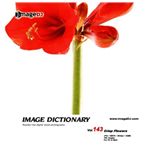 �ʐ^�f�� imageDJ Image Dictionary Vol.143 ����₩�ȉ�