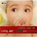 �ʐ^�f�� imageDJ Living Art Vol.27 �x�C�r�[