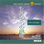 ʐ^f MIXA Vol.202 ЂƂ̕i