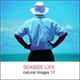 �ʐ^�f�� naturalimages Vol.17 SEASIDE LIFE