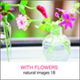 �ʐ^�f�� naturalimages Vol.18 WITH FLOWERS
