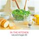 �ʐ^�f�� naturalimages Vol.33 IN THE KITCHEN