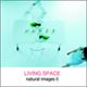 �ʐ^�f�� naturalimages Vol.6 LIVING SPACE