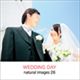 �ʐ^�f�� naturalimages Vol.26 Wedding day