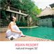 �ʐ^�f�� naturalimages Vol.32 ASIAN RESORT