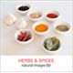 �ʐ^�f�� naturalimages Vol.69 HERBS��SPICES