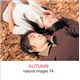 �ʐ^�f�� naturalimages Vol.74 AUTUMN