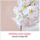 �ʐ^�f�� naturalimages Vol.86 SPRING HAS COME