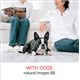 ʐ^f naturalimages Vol.88 WITH DOGS