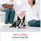 �ʐ^�f�� naturalimages Vol.88 WITH DOGS