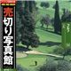 �ʐ^�f�� ���؂�ʐ^�� JFI Vol.014 �S���t Golf