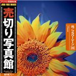 写真素材 売切り写真館 JFI Vol.020 花／フラワーシーン Flowers
