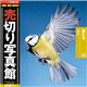 �ʐ^�f�� ���؂�ʐ^�� JFI Vol.029 ������ Birds
