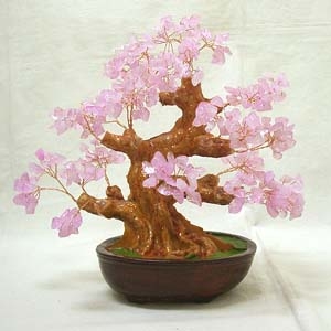 �������i���[�Y�N�H�[�c�j