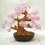 招福樹(ローズクォーツ)