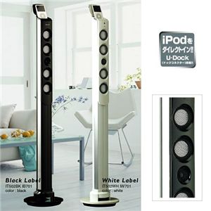 業界初!2.1chサラウンドタワースピーカーシステム ブラック