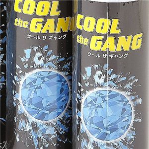 �����륶����� COOL the GANG 2���Ȥ�
