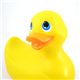 I RUB MY DUCKIE �̿�2