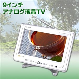 9インチアナログ液晶TV DS-TV1090