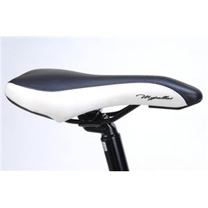 MYPALLAS(マイパラス) 自転車 M-971 700C ホワイト