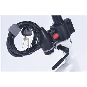 MYPALLAS（マイパラス） 折りたたみ自転車20・6SP・オールインワン M-252 ナチュラル（NA）