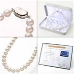 �Ԏ�{�^�� 7.5-8mm �l�b�N���X+�s�A�X 2�_�Z�b�g