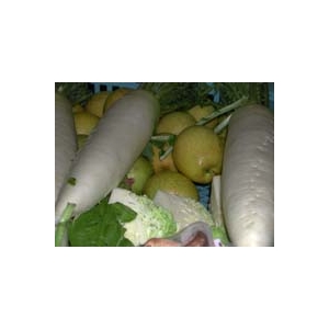 ����y�b�g�����