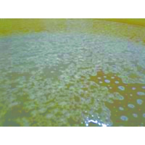 ����y�b�g�����